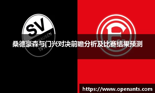 桑德豪森与门兴对决前瞻分析及比赛结果预测
