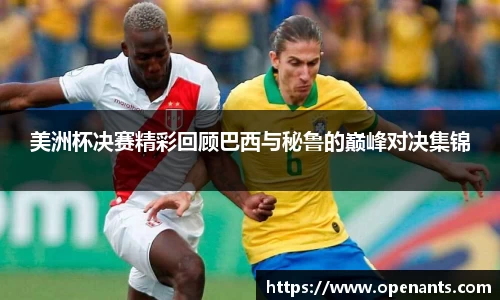 美洲杯决赛精彩回顾巴西与秘鲁的巅峰对决集锦